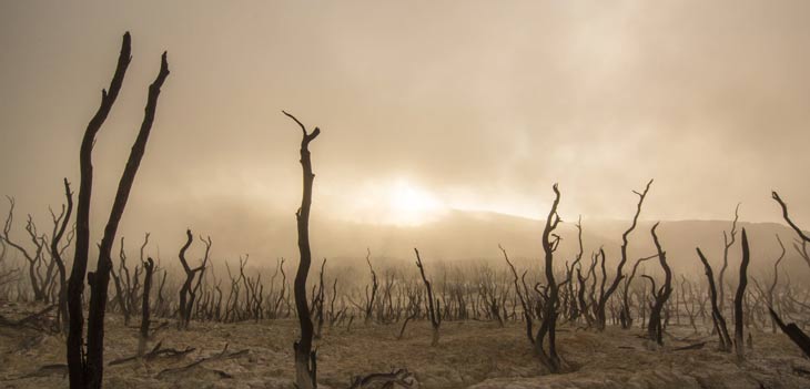 Cambio climático - Todo lo que debes saber